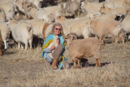 Doux Dimanche, cachemires